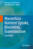 Ra Prasad, Ram Prasad, Narendra Tuteja, Ajit Varma - Mycorrhiza - Nutrient Uptake, Biocontrol, Ecorestoration