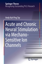 Andy Tay Kah Ping, Andy Kah Ping Tay - Acute and Chronic Neural Stimulation via Mechano-Sensitive Ion Channels