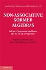 Miguel Cabrera Garcia, Miguel (Universidad de Granada) Cabrera Garcia, Miguel (Universidad De Granada) Ro Cabrera Garcia, Miguel Cabrera García, GARC MIGUEL CABRER, Angel Rodriguez Palacios... - Non-Associative Normed Algebras