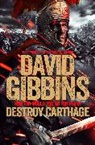 David Gibbins, Gibbins David - Total War Rome: Destroy Carthage