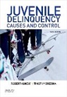 Robert Agnew, Robert/ Brezina Agnew, Timothy Brezina - Juvenile Delinquency