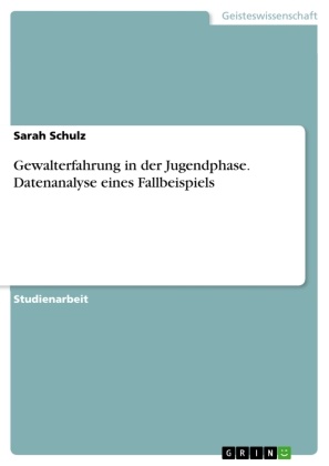 Sarah Schulz - Gewalterfahrung in der Jugendphase. Datenanalyse eines Fallbeispiels