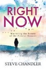 Steve Chandler - Right Now