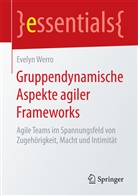 Evelyn Werro - Gruppendynamische Aspekte agiler Frameworks