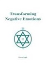 Peter Ingle - Transforming Negative Emotions