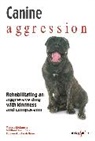 Tracey Mclennan - Canine Aggression
