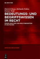 Dietric Busse, Dietrich Busse, Michael Felden, Michaela Felden, Detmer Wulf - Bedeutungs- und Begriffswissen im Recht