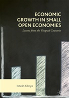 Istvan Konya, István Kónya - Economic Growth in Small Open Economies