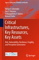 Adrian Gheorghe, Adrian V Gheorghe, Adrian V. Gheorghe, Polinpapi Katina, Polinpapilinho F. Katina, Roland Pulfer... - Critical Infrastructures, Key Resources, Key Assets
