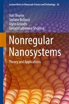 Stefan Bellucci, Stefano Bellucci, Alytis Gruodis, Alytis et Gruodis, Tamara Lobanova-Shunina, Yur Shunin... - Nonregular Nanosystems