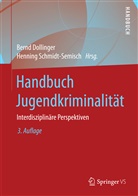 Bernd Dollinger, Bern Dollinger (Dr.), Bernd Dollinger (Dr.), Schmidt-Semisch, Schmidt-Semisch, Henning Schmidt-Semisch - Handbuch Jugendkriminalität