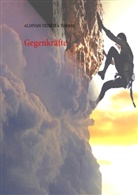 Aldivan Teixeira Torres - Gegenkräfte