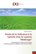 Adel A. Amouri, Adel Amar Amouri - Etude de la Tolérance à la Salinité chez la Luzerne "Medicago"