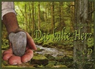 Paul ; Sachse, Wilhel Hauff, Wilhelm Hauff, Sachse, Paul Sachse, Berth Wesselmann - Das kalte Herz, m. 1 Audio-CD