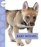 K. C. Kelley - Baby Wolves