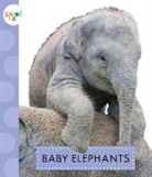 K. C. Kelley - Baby Elephants