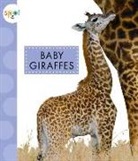 K. C. Kelley - Baby Giraffes