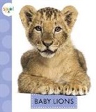 K. C. Kelley - Baby Lions
