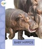 K. C. Kelley - Baby Hippos