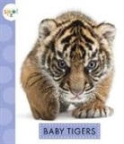 K. C. Kelley - Baby Tigers