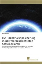 Marc Prewitz - H2-Hochdruckspeicherung in polymerbeschichteten Glaskapillaren