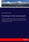 Henry McElderry Knower - The Embryology of a Termite, Eutermes (rippertii?)