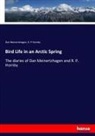 R P Hornby, R. P Hornby, Da Meinertzhagen, Dan Meinertzhagen - Bird Life in an Arctic Spring