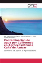 M del Refugio Castañeda-C., Cesáreo Landeros-S., Juan Valente Megchún-García - Contaminación de agua por Coliformes en Agroecosistemas Caña de Azúcar
