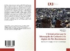 Badiaa Lyoussi, Awatef Tahouri, Jad Tahouri - L'intoxication par le Monoxyde de Carbone à la région de Fès-Boulemane