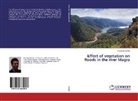 Riccardo Benifei - Effect of vegetation on floods in the river Magra