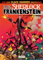 Jeff Lemire, David Rubin, David Rubin - Black Hammer: Sherlock Frankenstein & die Legion des Teufels. Bd.1
