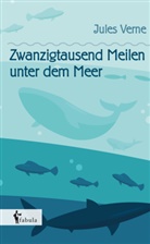 Jules Verne - Zwanzigtausend Meilen unter dem Meer