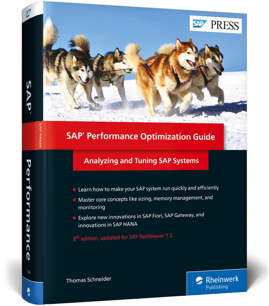 Thomas Schneider - SAP Performance Optimization Guide - Analyzing and Tuning SAP Systems