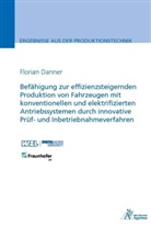 Florian Gerhard Danner - Befähigung zur effizienzsteigernden Produktion von Fahrzeugen mit konventionellen und elektrifizierten Antriebssystemen durch innovative Prüf- und Inbetriebnahmeverfahren