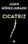 Juan Gómez-Jurado - Cicatriz / Scar
