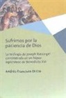 Andrés Francisco Di Ció - Sufrimos por la paciencia de Dios : la teología de Joseph Ratzinger concentrada en un hápax legómenon de Benedicto XVI
