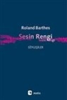Roland Barthes - Sesin Rengi