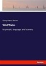 George Henry Borrow - Wild Wales