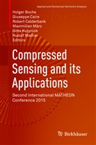 Holger Boche, Giusepp Caire, Giuseppe Caire, Robert Calderbank, Robert Calderbank et al, Gitta Kutyniok... - Compressed Sensing and its Applications