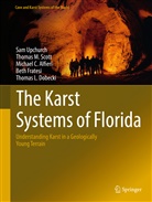 MICHAEL ALFIERI, Michael C. Alfieri, MICHAEL et ALFIERI, Thomas L. Dobecki, Beth Fratesi, Thomas Scott... - The Karst Systems of Florida
