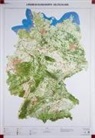 BKG - Bundesamt für Kartographie und Geodäsie, BK - Bundesamt für Kartographie und - Landbedeckungskarte Deutschland 1 : 750 000, Planokarte