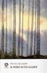 Michele Bellazzini - Il modo in cui la luce