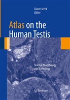Davo Jezek, Davor Jezek, Davor Ježek - Atlas on the Human Testis