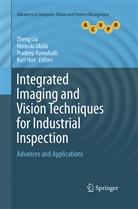 Zheng Liu, Kurt Niel, Pradeep Ramuhalli, Pradeep Ramuhalli et al, Hiroyuk Ukida, Hiroyuki Ukida - Integrated Imaging and Vision Techniques for Industrial Inspection