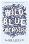 Carlie Sorosiak - Wild Blue Wonder