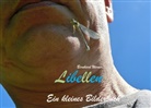 Bernhard Werner - Libellen
