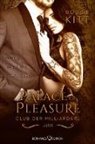 Bobbie Kitt - Palace of Pleasure: Jude (Club der Milliardäre 4)