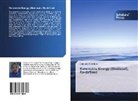 Olatunde Odedele - Renewable Energy (Biodiesel), Re-defined