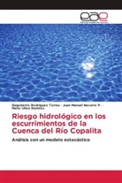 Juan Manuel Navarro P., Dagoberto Rodríguez Torres, Mario Ulloa Ramírez - Riesgo hidrológico en los escurrimientos de la Cuenca del Río Copalita
