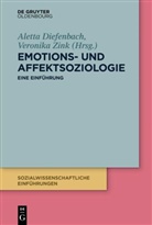 Thomas Hoebel, Aletta Diefenbach, Zink, Veronika Zink - Emotions- und Affektsoziologie